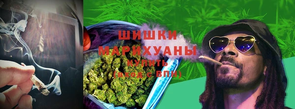 таблы Богородицк