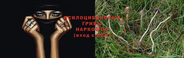 таблы Богородицк